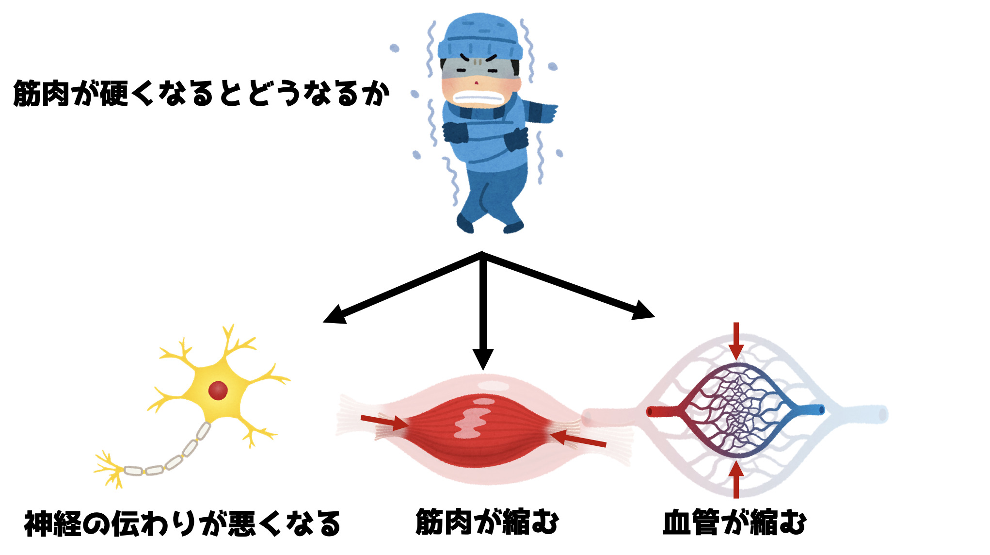 【リハビリ】筋緊張亢進（異常筋緊張）を改善させる方法は？ - 愛知県豊橋市で脳梗塞・脳出血後遺症の麻痺に特化したマンツーマンリハビリなら ...