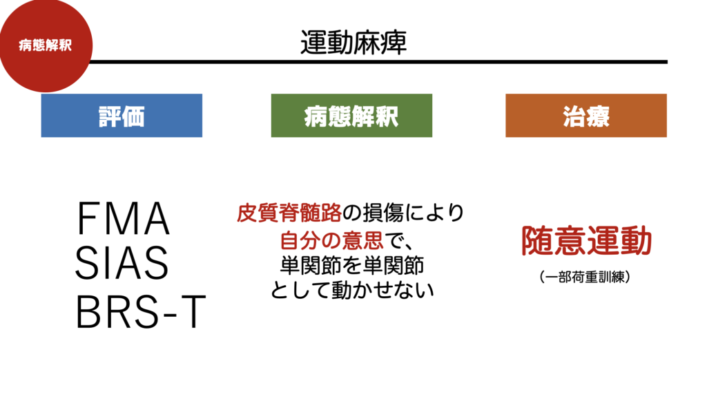 脳損傷後の機能回復: 治療・訓練の理論的根拠 hq720.jpg?sqp=-