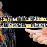【リハビリ】網様体脊髄路、前庭脊髄路と痙縮の関係は？