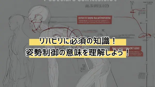 【リハビリ】どこよりもわかりやすく「姿勢制御」って何？ざっくりとイメージをつかもう！ -  愛知県豊橋市で脳梗塞・脳出血後遺症に特化したマンツーマンリハビリならActive｜脳梗塞リハビリスタジオあくてぃぶ