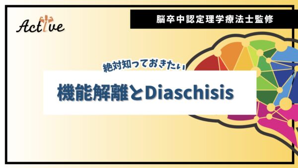 脳卒中リハビリでの鍵：機能解離とDiaschisisの重要性とは？