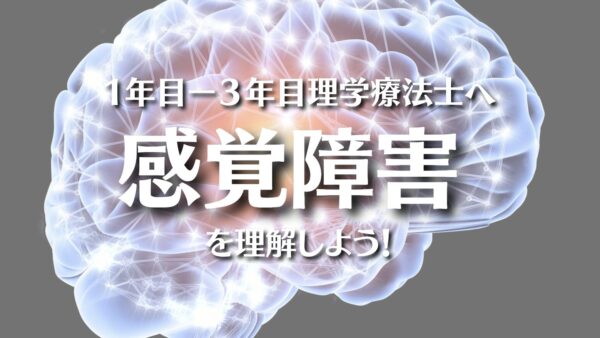 脳卒中後の感覚障害を理解しよう – 理学療法士1～3年目のための完全ガイド