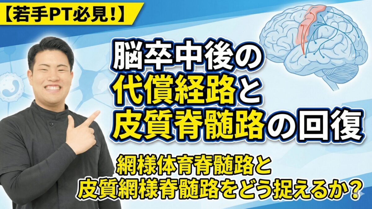 【若手PT必見!】脳卒中後の代償経路と皮質脊髄路の回復──網様体脊髄路と皮質網様体脊髄路をどう捉えるか?