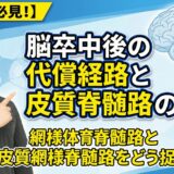 【若手PT必見！】脳卒中後の代償経路と皮質脊髄路の回復──網様体脊髄路と皮質網様体脊髄路をどう捉えるか？