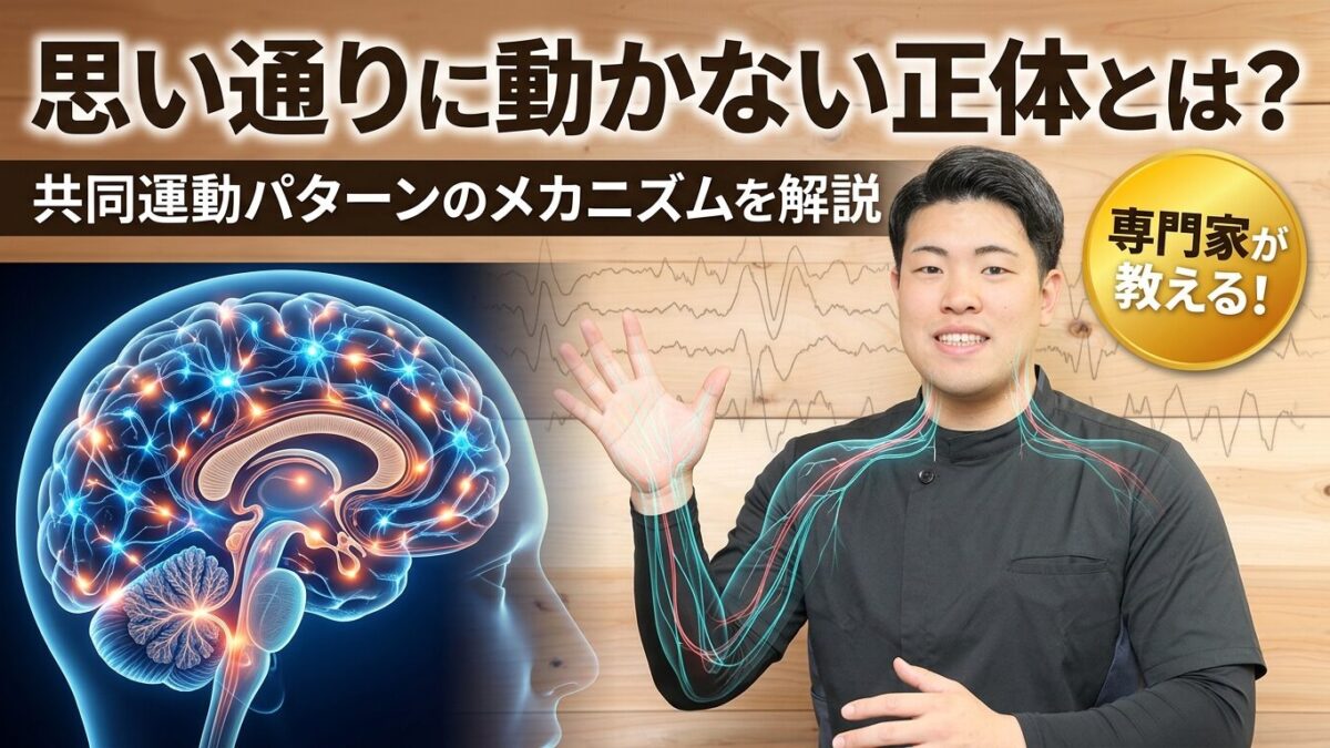 脳卒中後の共同運動パターンとリハビリ