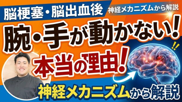 脳梗塞・脳出血後に腕・手が動かない本当の理由｜豊橋の理学療法士が神経メカニズムから解説