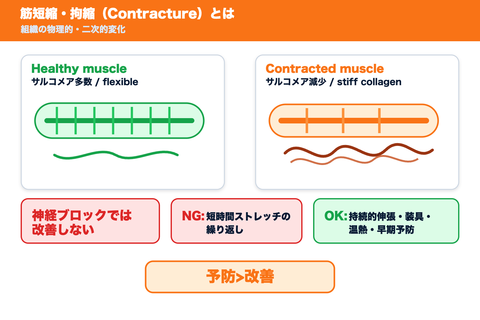 03 contracture