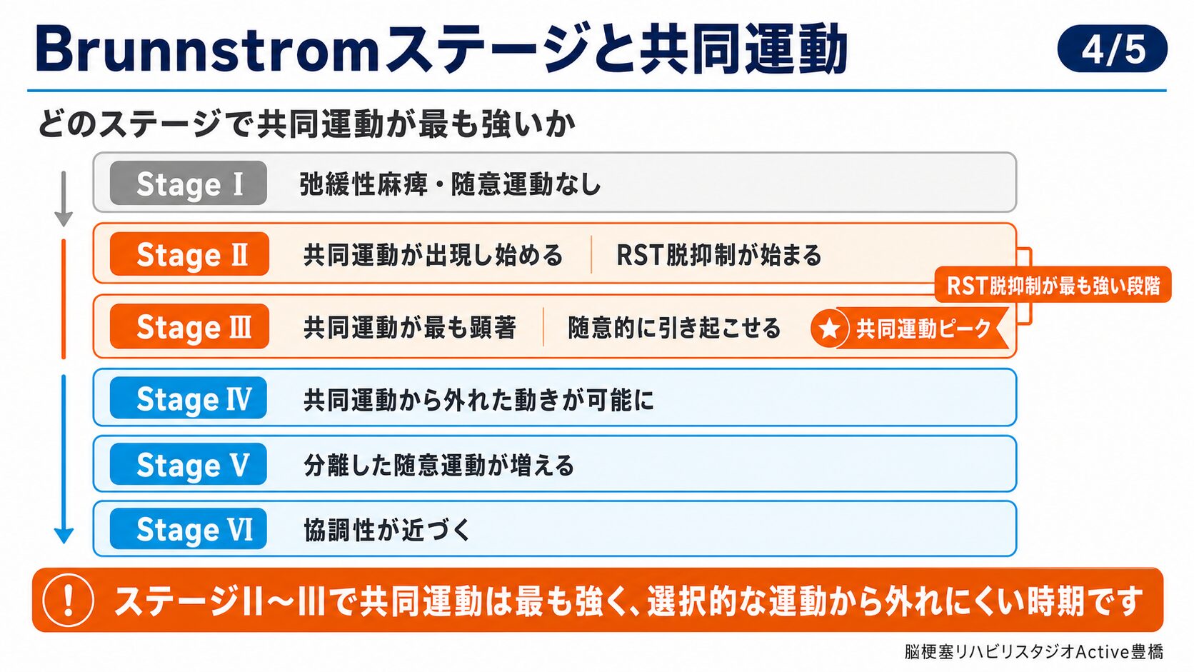 なぜ共同運動が起こるのか：CST損傷とRST脱抑制のメカニズム
