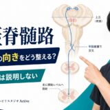 視蓋脊髄路と脳卒中後の視線・頭頸部の定位を解説するActiveのサムネイル