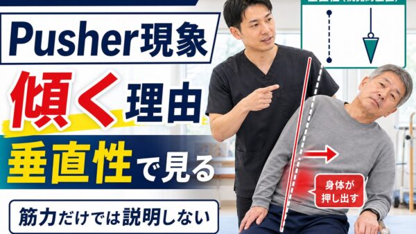 Pusher現象はなぜ起こるのか｜脳卒中後の傾きを垂直性から評価する
