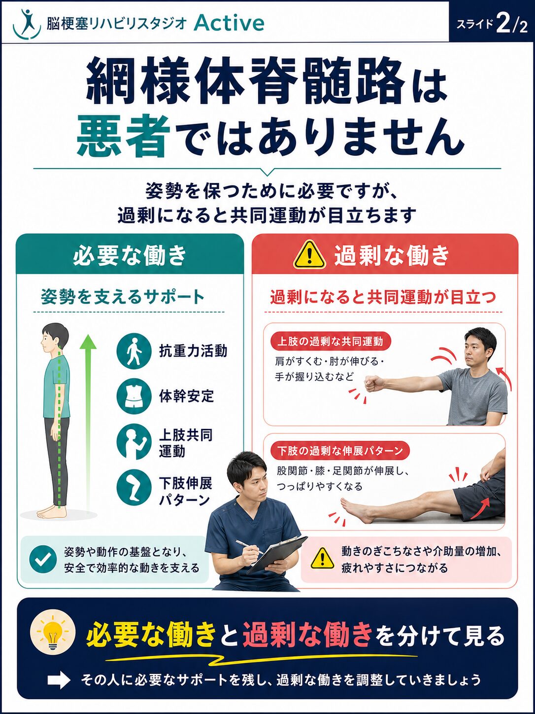 網様体脊髄路を脳卒中リハビリで解説する図解スライド2