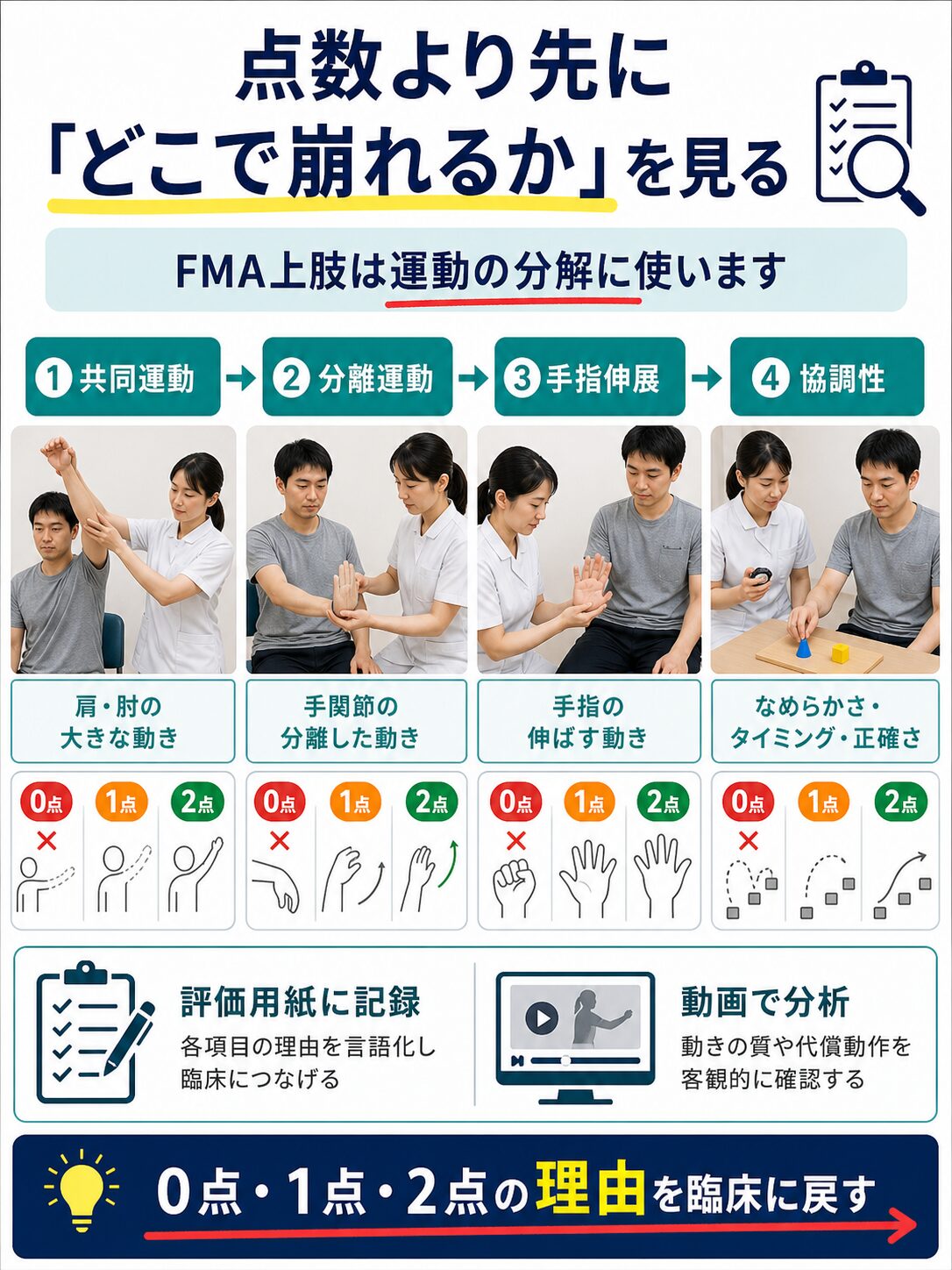 FMA上肢で共同運動や分離運動など崩れる場所を見る図解スライド