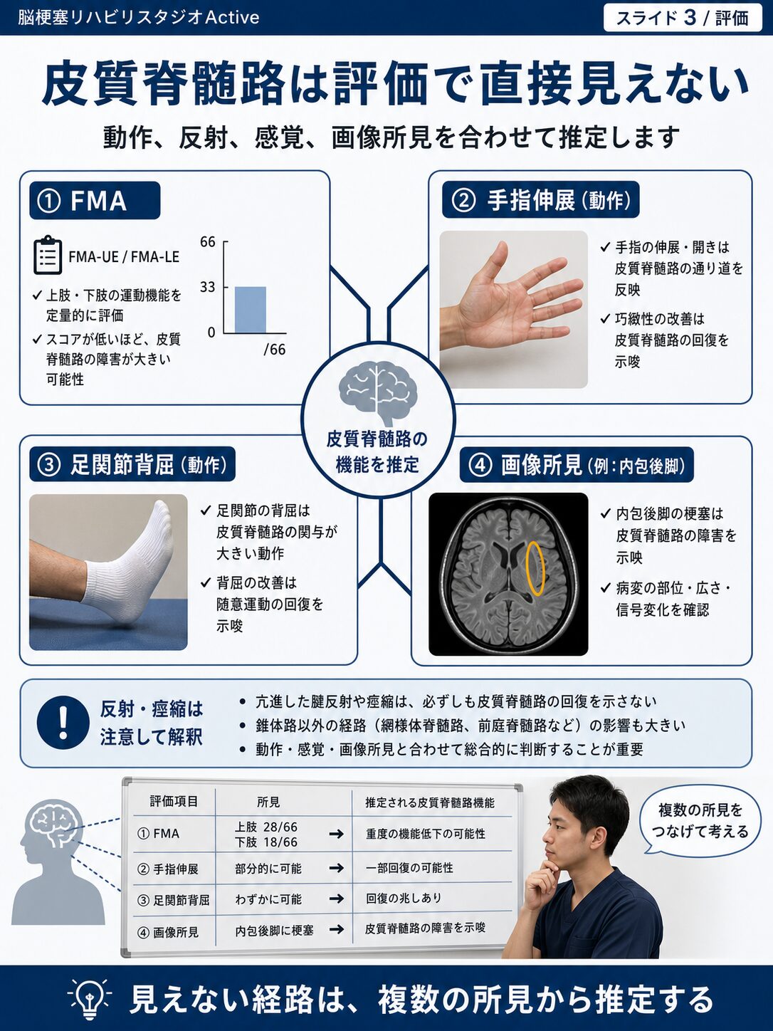 皮質脊髄路を脳卒中リハビリで解説する図解スライド3
