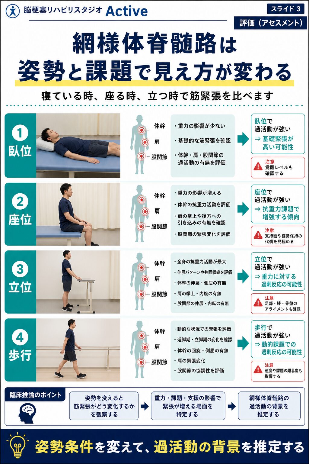網様体脊髄路を脳卒中リハビリで解説する図解スライド3