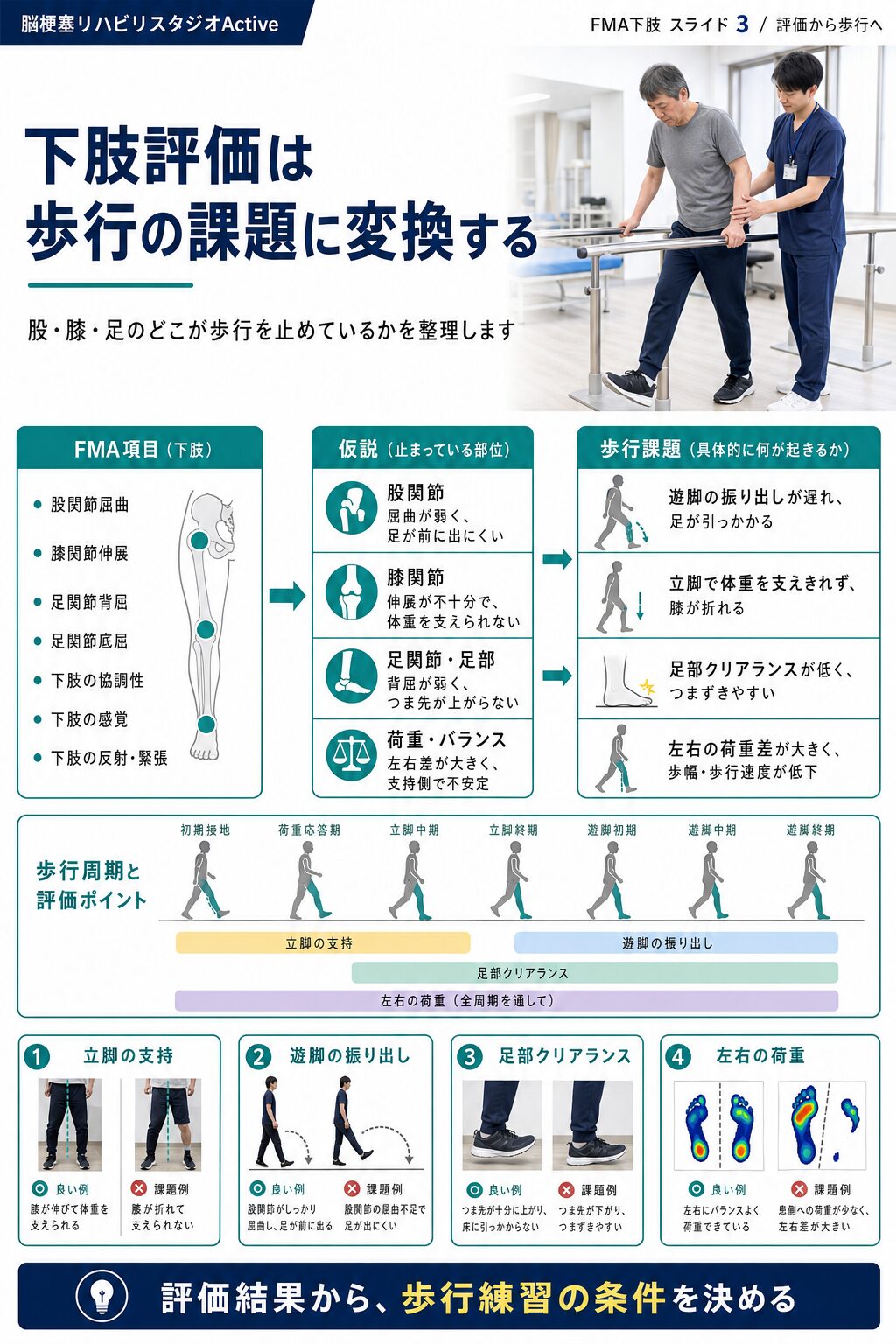 FMA下肢を脳卒中リハビリで解説する図解スライド3