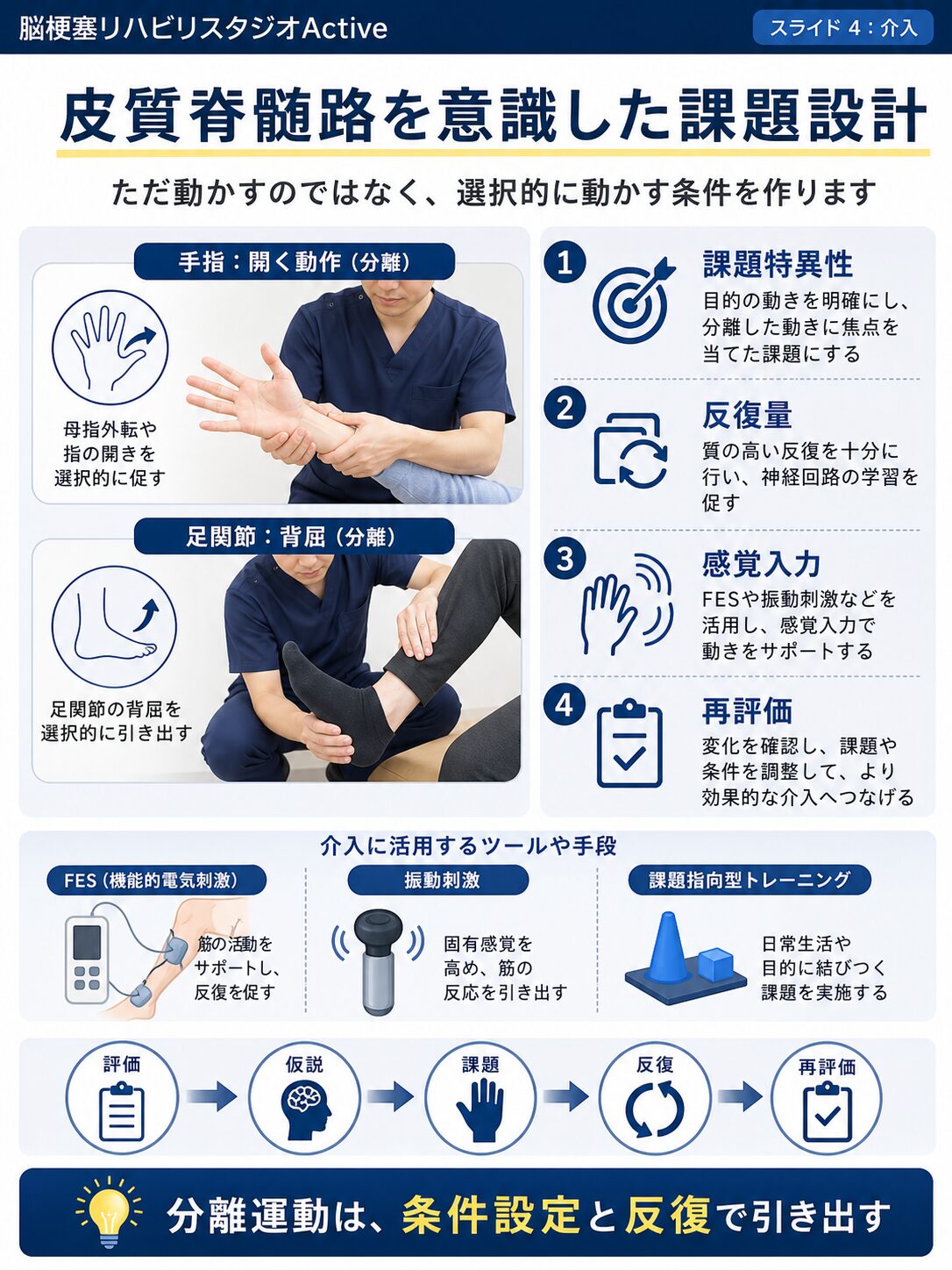 皮質脊髄路を脳卒中リハビリで解説する図解スライド4