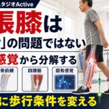 反張膝を足首と感覚から分解するActiveのサムネイル