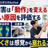 感覚障害が動作を変えることを示すActiveのサムネイル