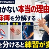 手が動かない本当の理由を上肢麻痺として分解するActiveのサムネイル