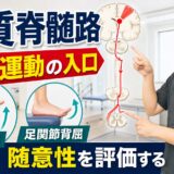 皮質脊髄路を分離運動と随意性評価の入口として解説するサムネイル