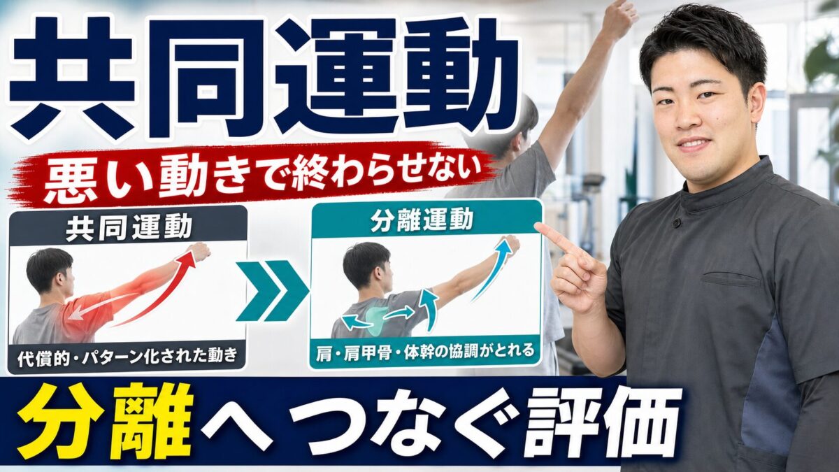 共同運動を分離運動へつなげる評価として解説するサムネイル