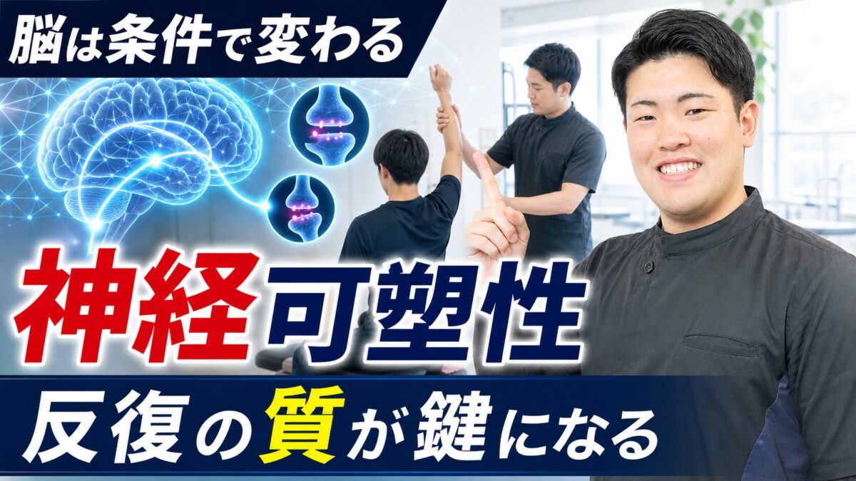 神経可塑性と脳卒中リハビリの反復の質を解説するサムネイル