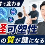 神経可塑性と脳卒中リハビリの反復の質を解説するサムネイル