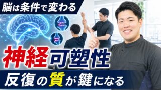 神経可塑性は脳が変わる条件のこと|脳卒中リハビリでどう扱うか