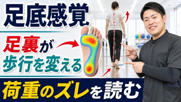 足底感覚はなぜ歩行を変えるのか｜脳卒中リハビリで足裏から荷重を読む