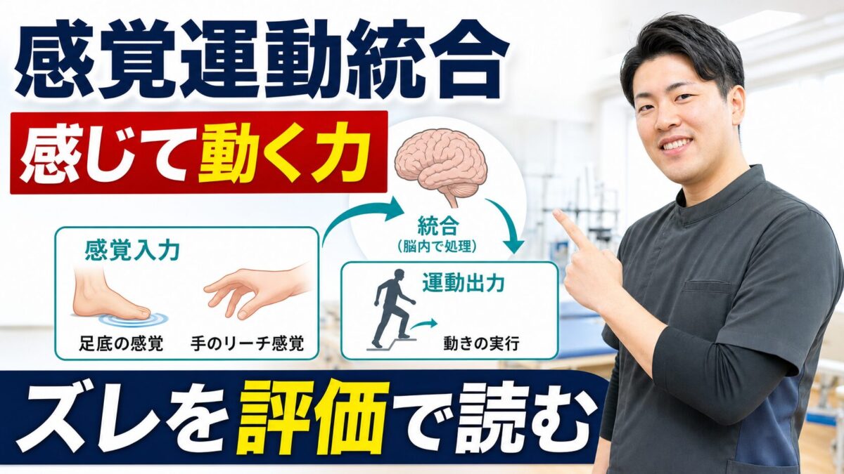 感覚運動統合を感じて動く力として解説するActiveブログのサムネイル