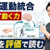 感覚運動統合を感じて動く力として解説するActiveブログのサムネイル
