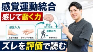 感覚運動統合とは何か｜脳卒中リハビリで感じて動く仕組みを読む