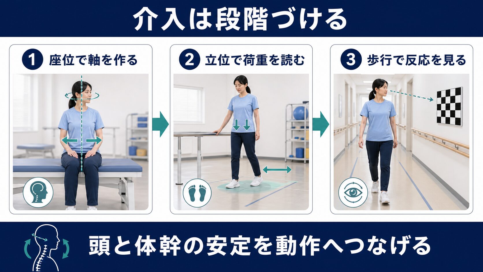 前庭脊髄路への介入を座位、立位、歩行へ段階づける図解