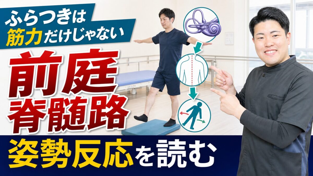 前庭脊髄路と脳卒中後のふらつきの評価を解説するサムネイル