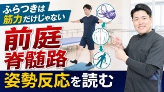 前庭脊髄路とは何か|脳卒中後のふらつきを筋力だけで説明しない