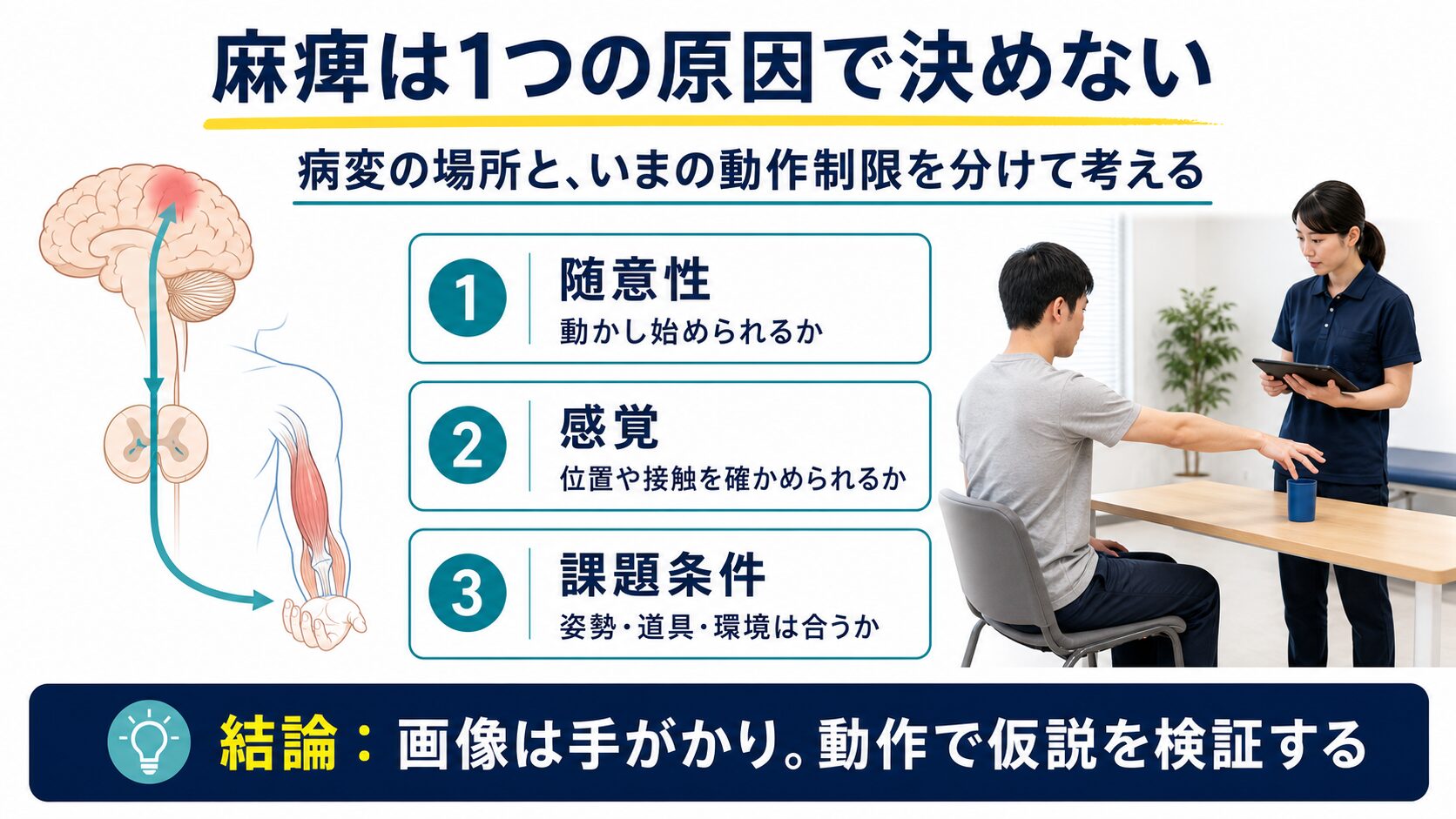 脳卒中後の運動麻痺は随意性、感覚、課題条件を分けて評価することを示す図解