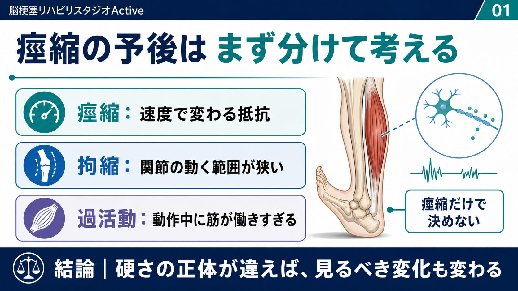 痙縮、拘縮、過活動を分けて予後を考えるための図解