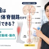 網様体脊髄路と痙縮を評価から考える脳卒中リハビリのサムネイル