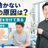 脳卒中後の手の使いにくさを麻痺と感覚に分けて考えるサムネイル