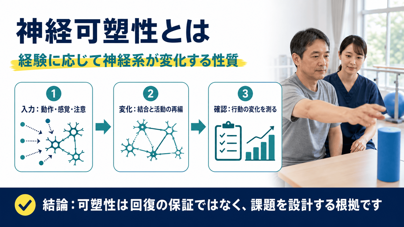 脳卒中後の神経可塑性を入力、変化、行動評価で説明する図解