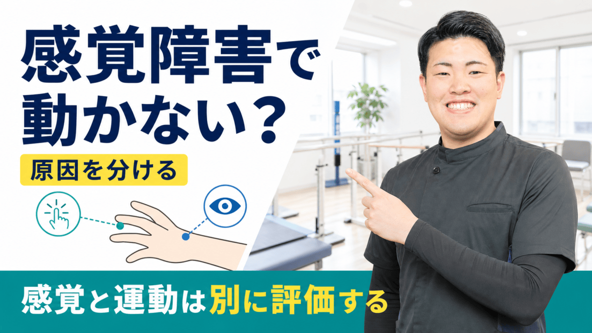 脳卒中後の感覚障害と随意運動を別に評価するサムネイル