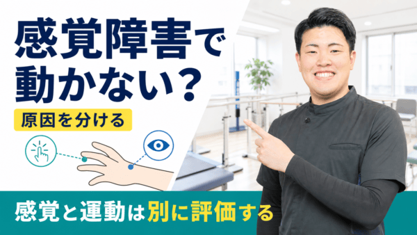 脳卒中後の感覚障害とは｜随意運動との違いを評価から分けて考える
