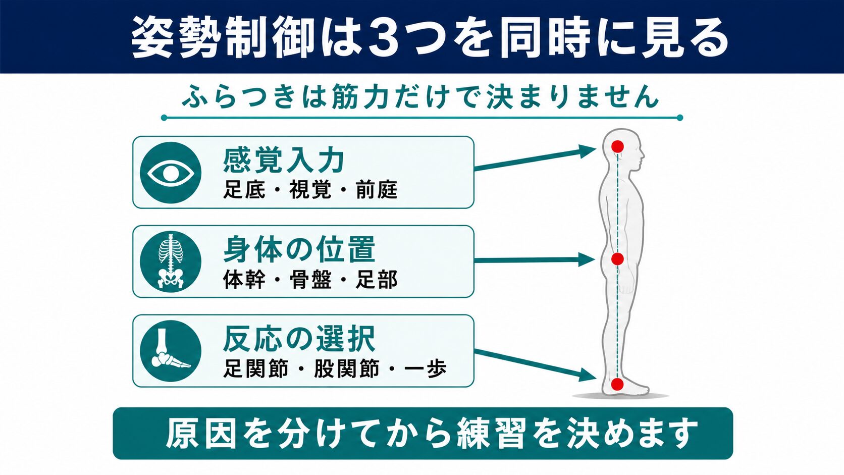 脳卒中後の姿勢制御を感覚入力、身体位置、反応の選択に分けて示した図解