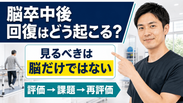 脳卒中後の回復はどう起こるか｜脳だけで決めず、評価からリハビリを設計する