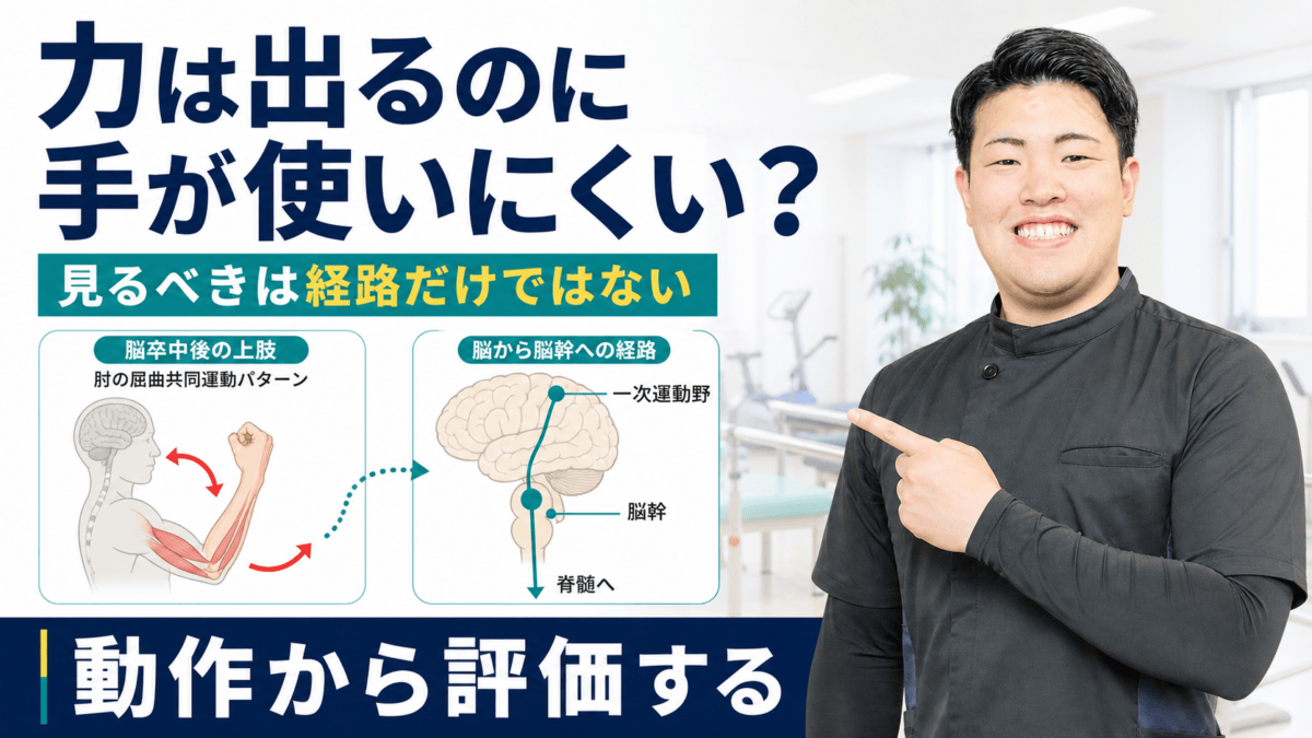 脳卒中後の皮質網様体脊髄路を評価から解説する記事のアイキャッチ
