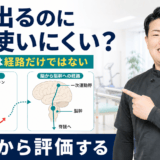 脳卒中後の皮質網様体脊髄路を評価から解説する記事のアイキャッチ