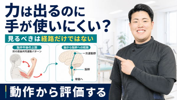 皮質網様体脊髄路とは｜脳卒中後の力と共同運動を評価から分けて考える