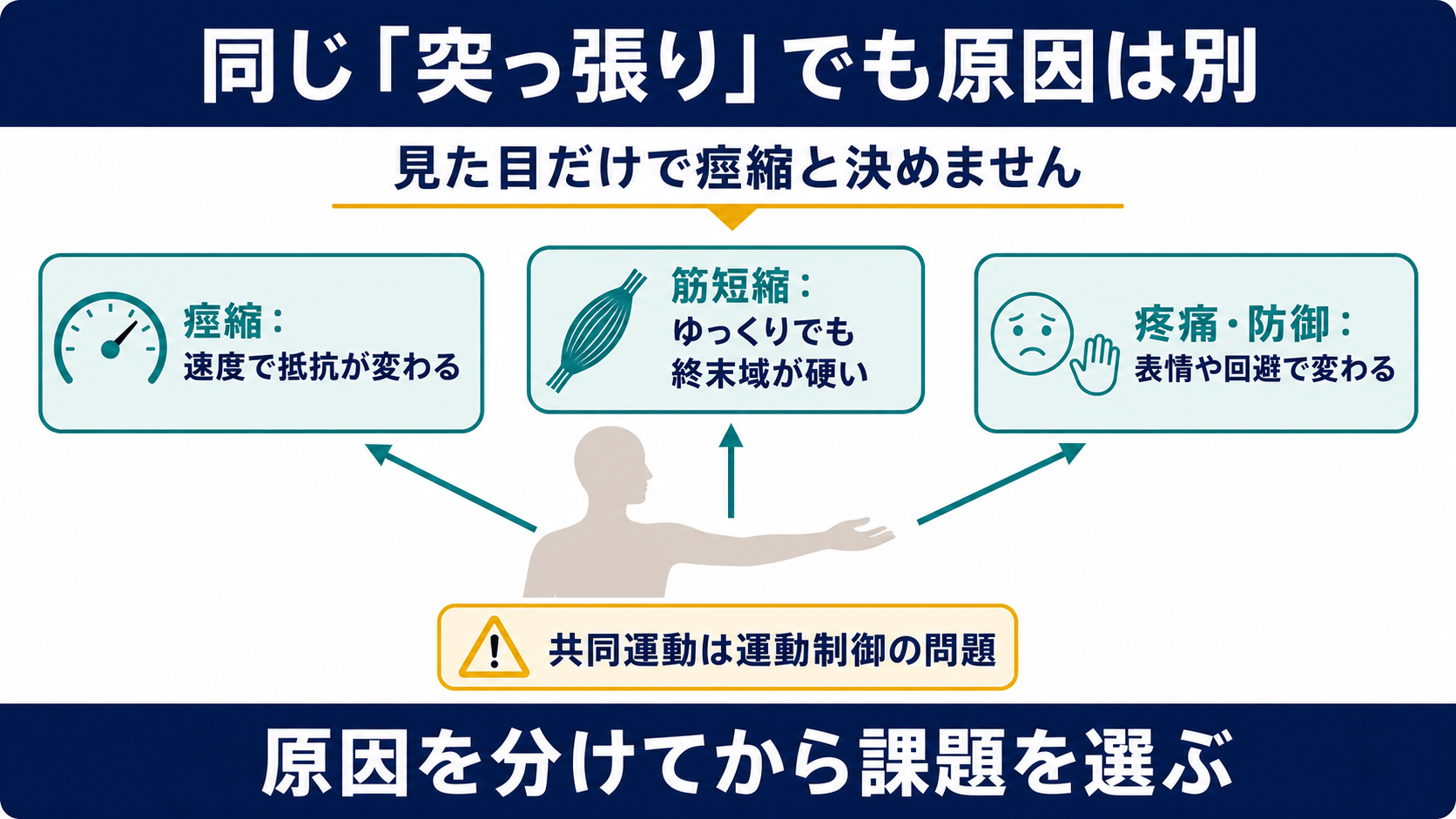 脳卒中後の共同運動と痙縮と筋短縮を評価で分ける図解
