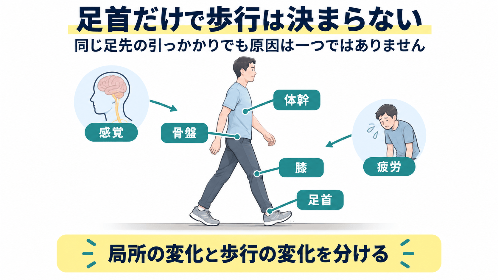 足関節の硬さだけでなく歩行の支持、遊脚、体幹、感覚、疲労を観察する脳卒中リハビリ図解