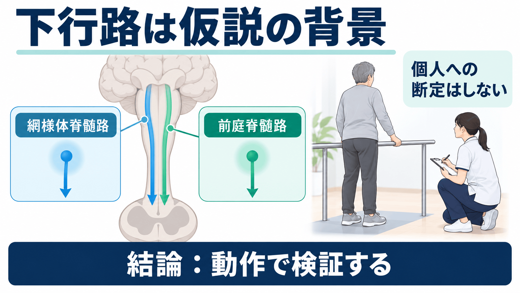 網様体脊髄路と前庭脊髄路を痙縮の原因と断定せず評価仮説として扱う図解
